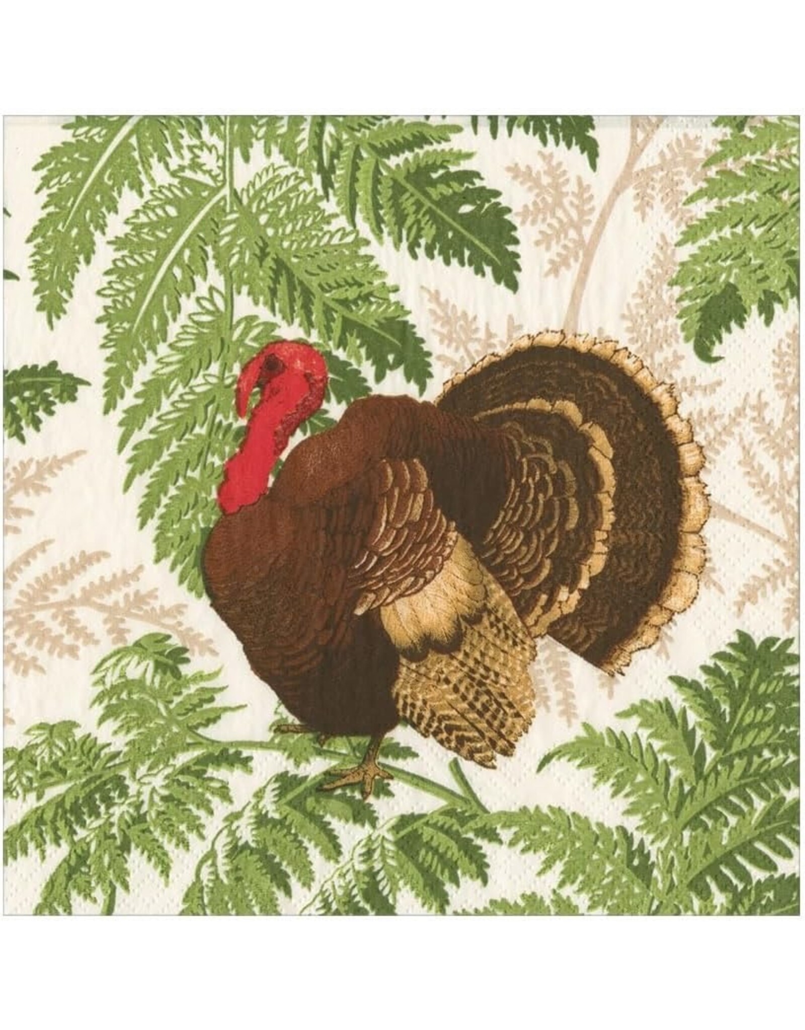Caspari Thanksgiving Paper Luncheon Napkins 20pk Turkey Among Ferns