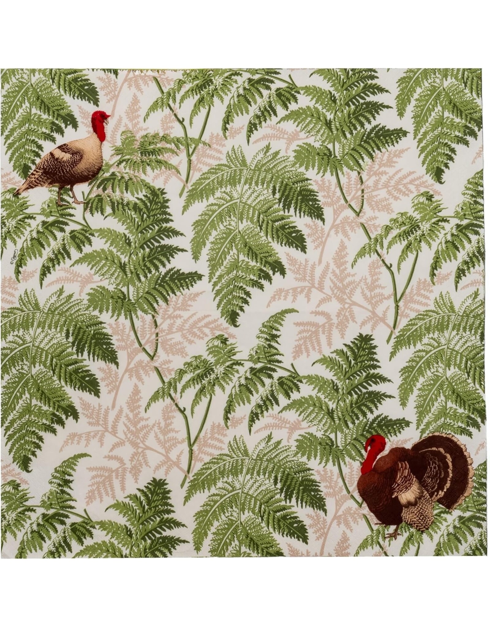 Caspari Thanksgiving Paper Dinner Napkins 20pk Turkey Among Ferns