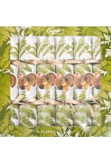 Caspari Thanksgiving Celebration Crackers 6pk Turkey Among Ferns