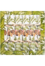 Caspari Thanksgiving Celebration Crackers 6pk Turkey Among Ferns