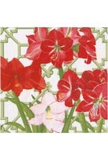 Caspari Christmas Paper Luncheon Napkins 20pk Amaryllis Conservatory Caspari Christmas Paper Luncheon Napkins 20pk Amaryllis Conservatory