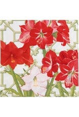 Caspari Christmas Paper Luncheon Napkins 20pk Amaryllis Conservatory Caspari Christmas Paper Luncheon Napkins 20pk Amaryllis Conservatory