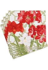 Caspari Christmas Paper Luncheon Napkins 20pk Amaryllis Conservatory Caspari Christmas Paper Luncheon Napkins 20pk Amaryllis Conservatory