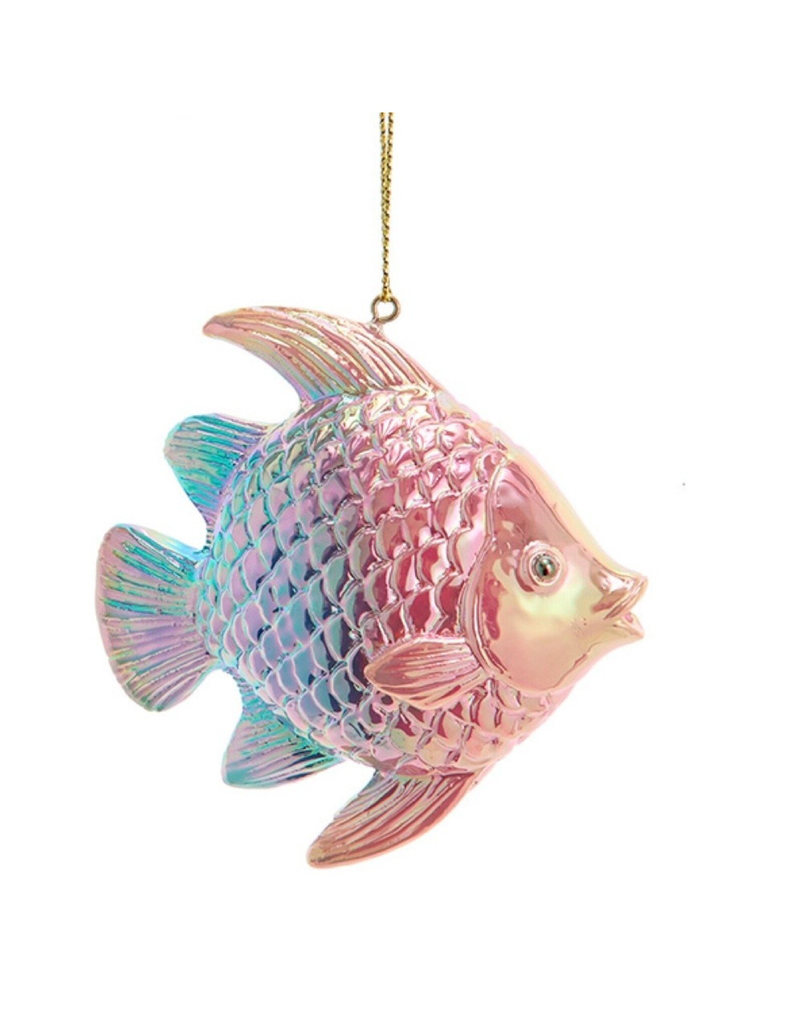 Kurt Adler Tropical Fish Electroplated Ornaments LBPE