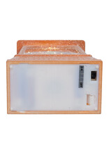 Kurt Adler Snow Globe Water Lanterns LED Gingerbread and Tree B/O