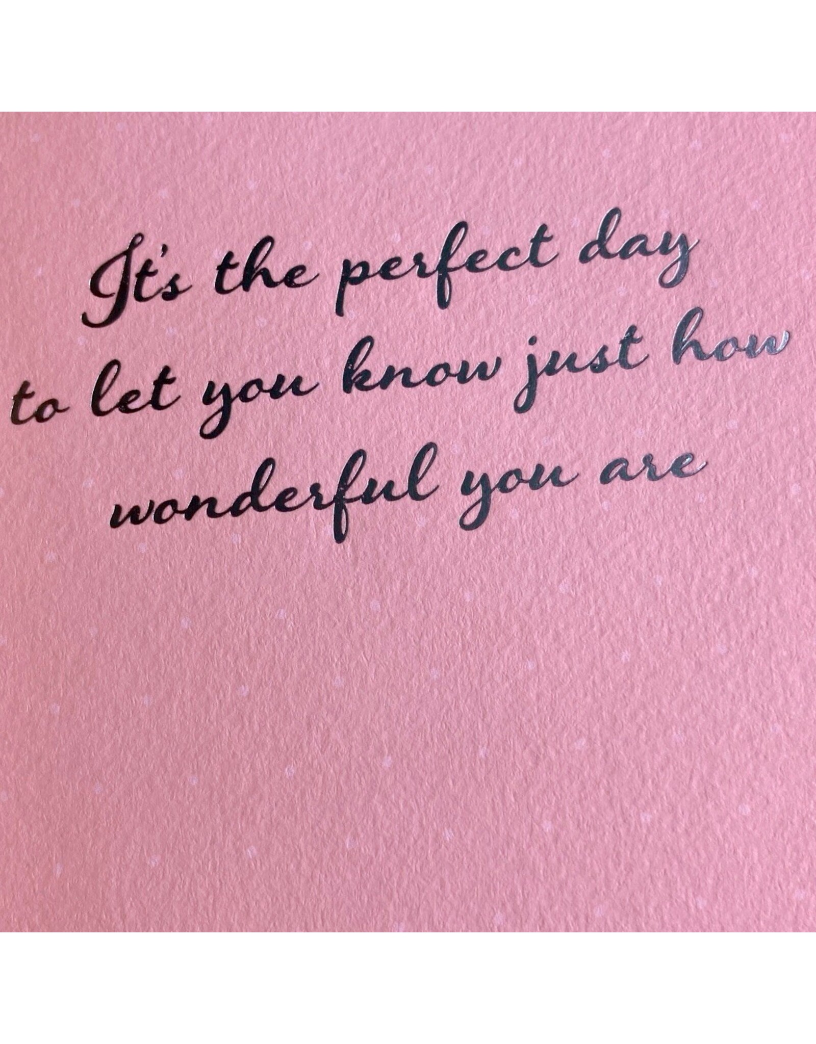 PAPYRUS® Mother's Day Card Wild Roses