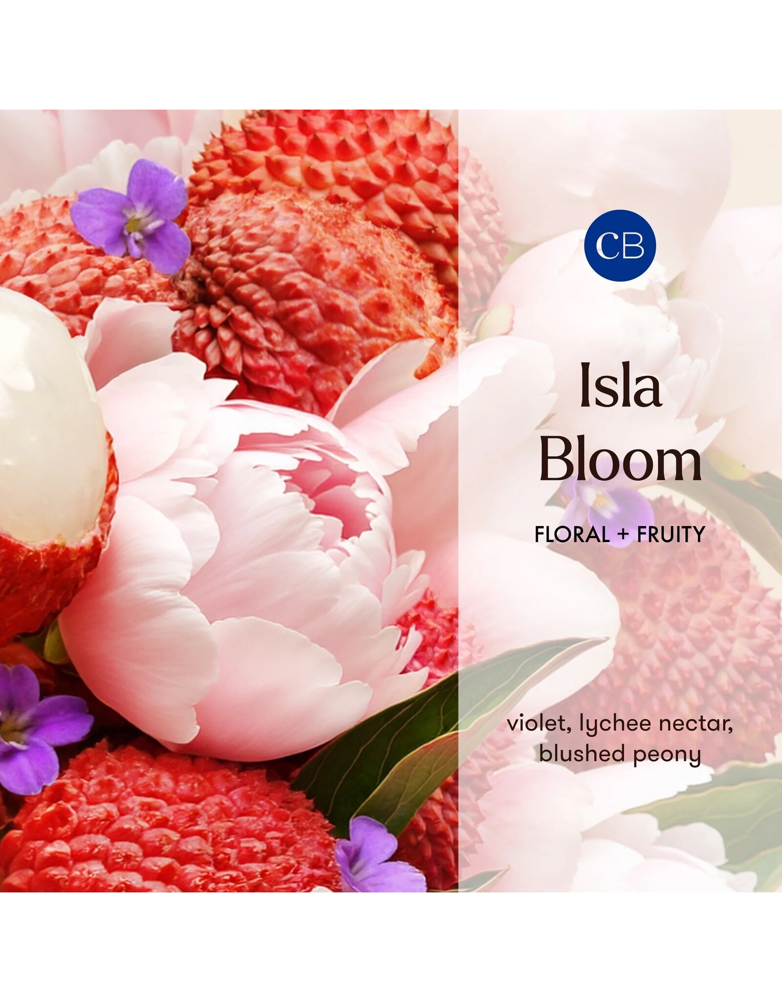 capri BLUE Isa Bloom Candle Jar 19 Oz Riviera Sunset Limited Edition