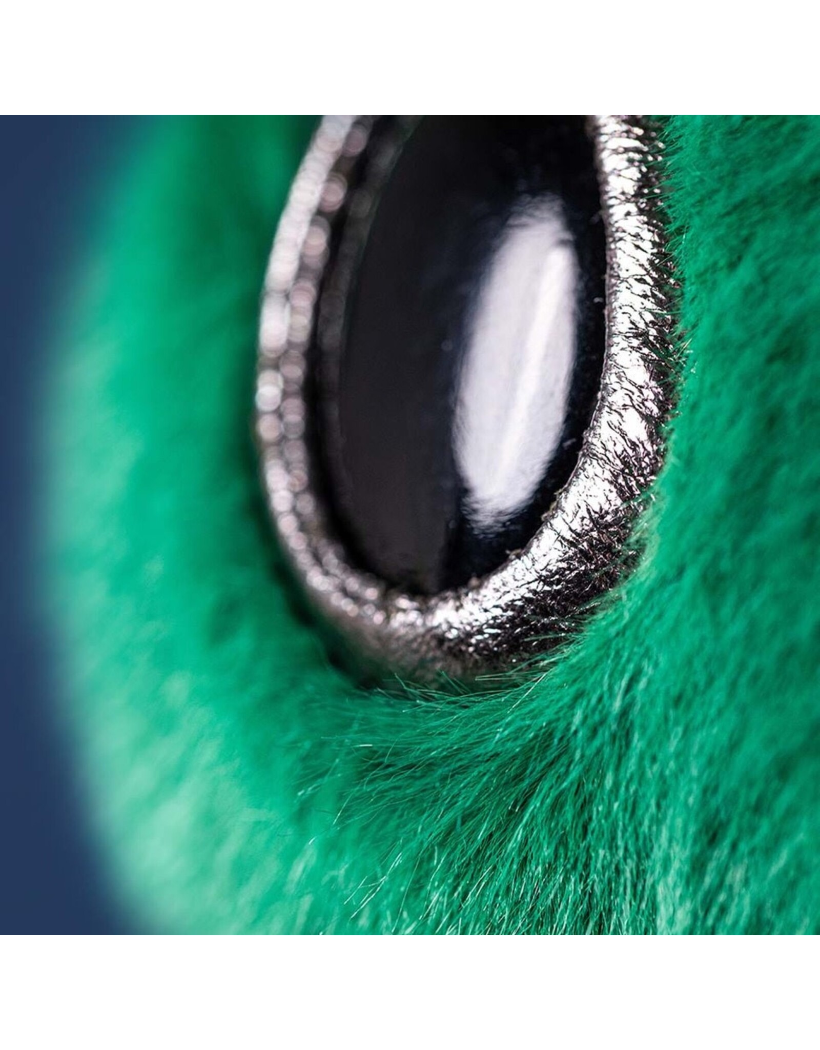 JellyCat Zyllan Alien