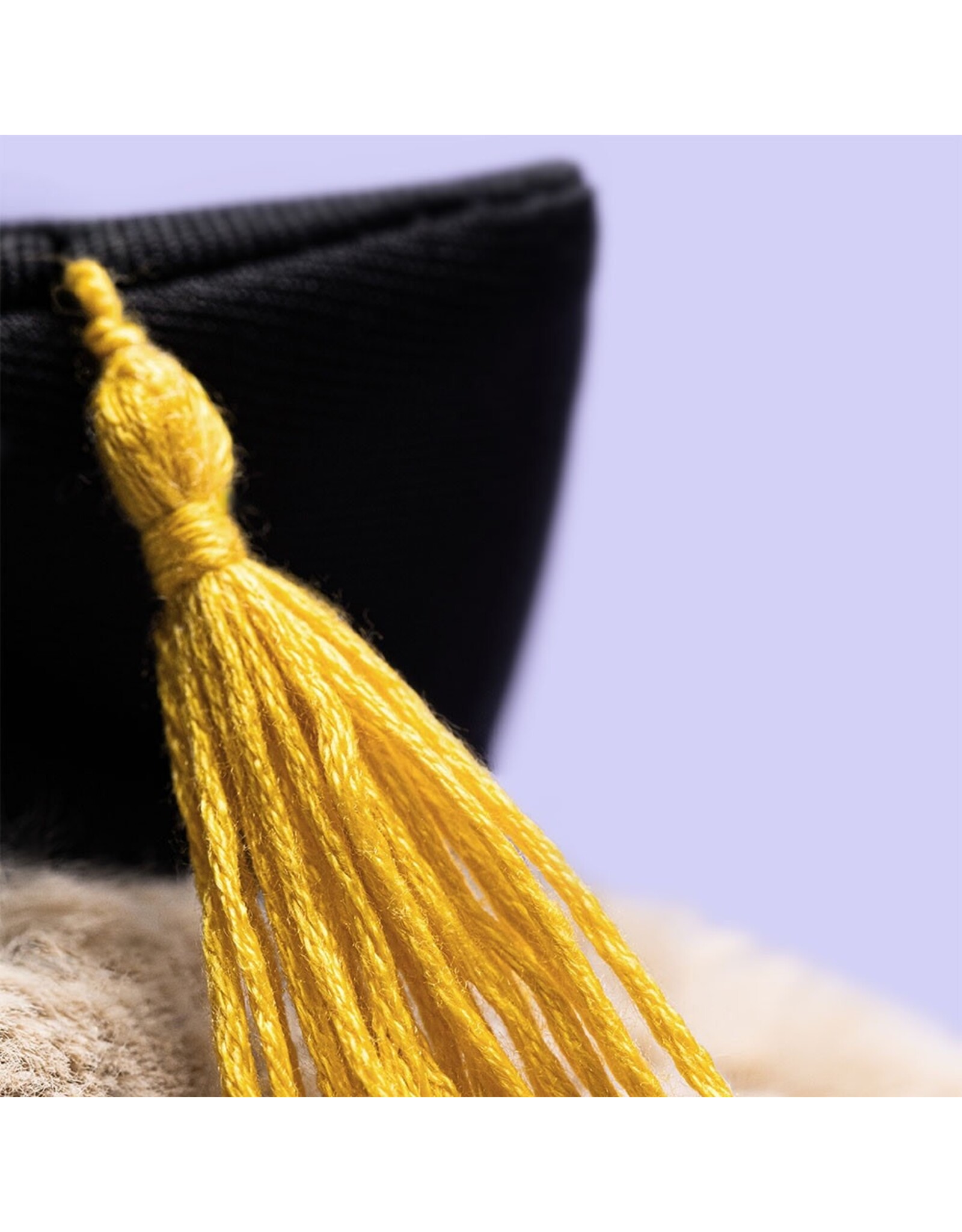 JellyCat Bashful Bunny Graduation Outfit