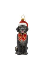 Christopher Radko Loyal Lab Labrador Retriever Christmas Ornament
