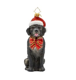 Christopher Radko Loyal Lab Labrador Retriever Christmas Ornament