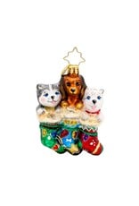Christopher Radko Puppy Presents Gem Ornament