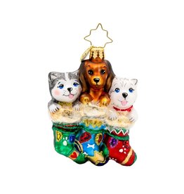 Christopher Radko Puppy Presents Gem Ornament