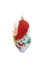 Christopher Radko Ornament of the Month St Nicks Winter Tale