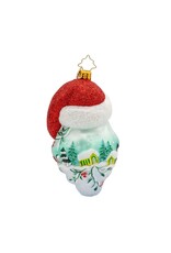 Christopher Radko Ornament of the Month St Nicks Winter Tale