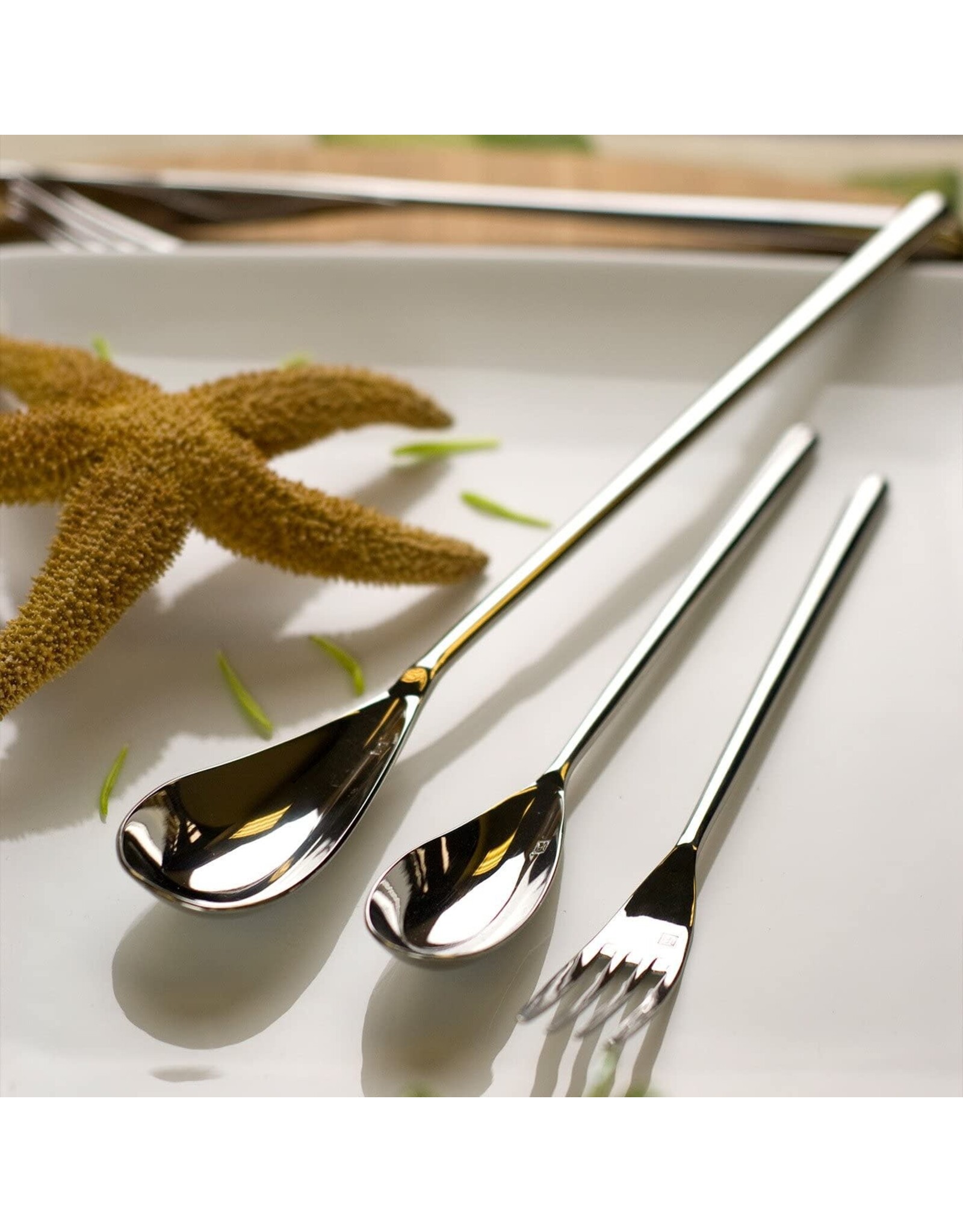 Fortessa Dragonfly Stainless Steel Flatware Set 5-Piece Setting