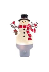 Kurt Adler Night Lights Snowman w Cardinal LED w Spinning Glitter