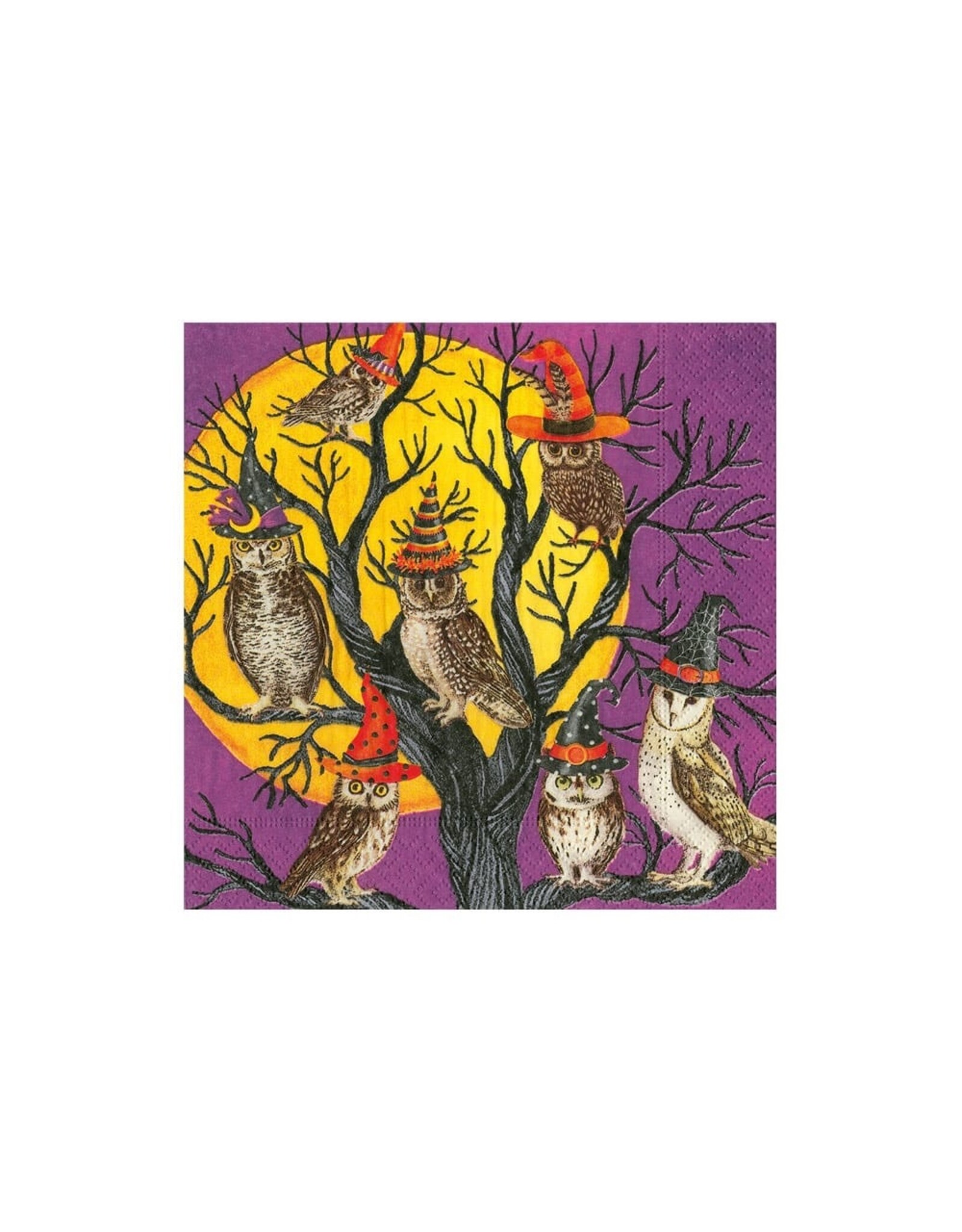 Caspari Halloween Party Paper Cocktail Napkins 20pk Owl-O-Ween Owls