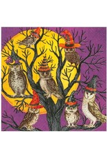Caspari Halloween Party Paper Cocktail Napkins 20pk Owl-O-Ween Owls