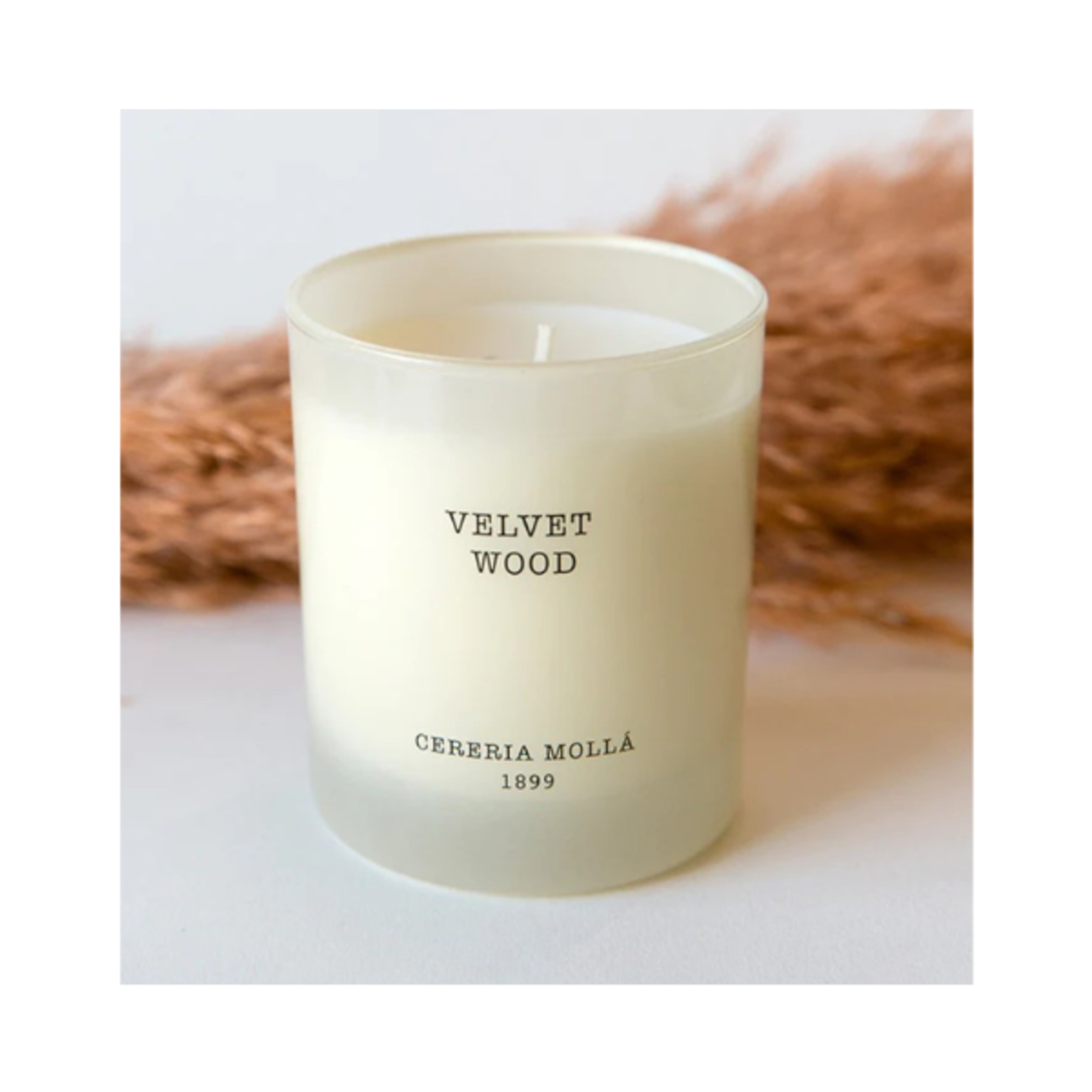 Cereria Molla Velvet Wood | Candle