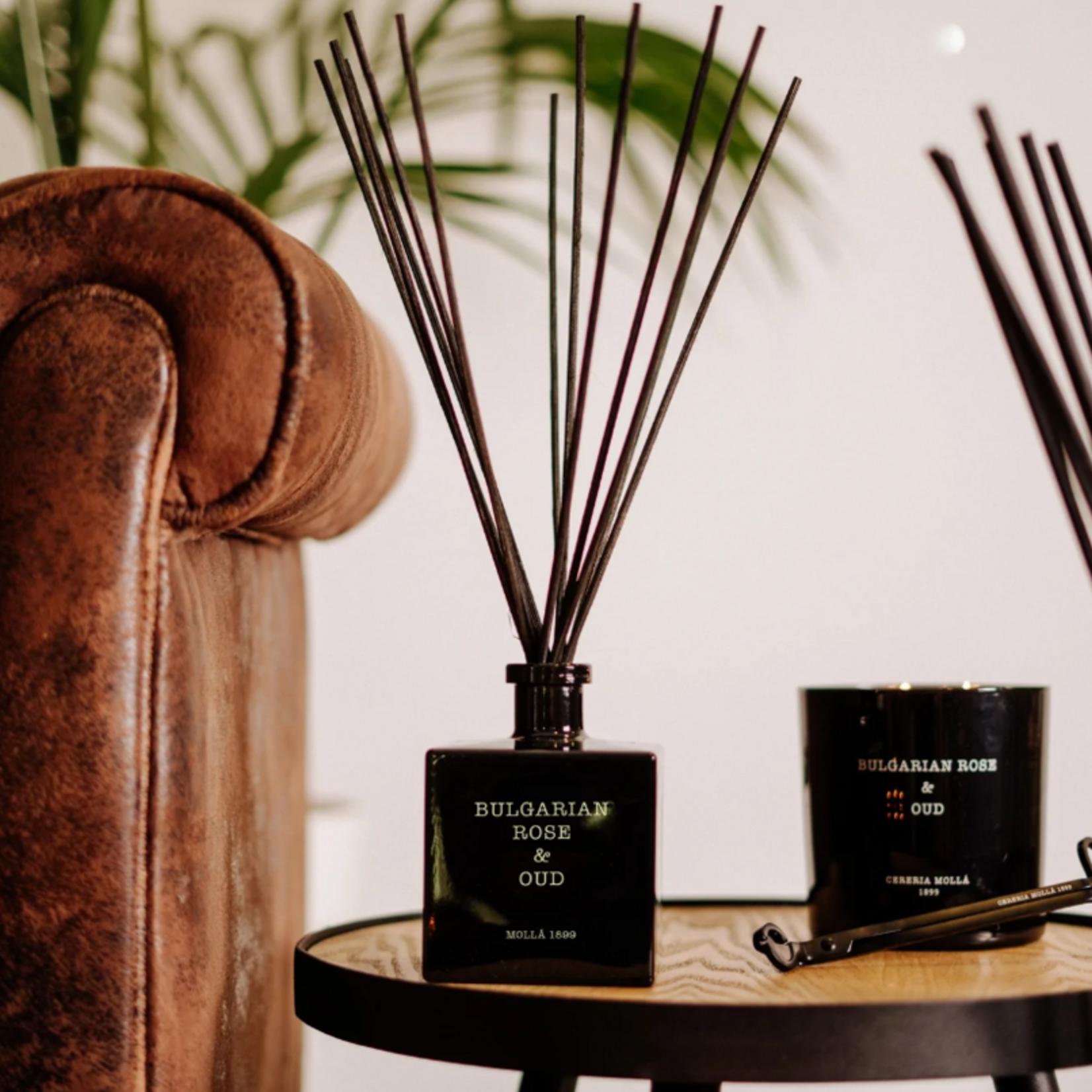 Cereria Molla Bulgarian Rose & Oud - Reed Diffuser