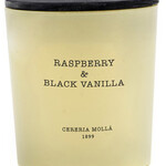 Cereria Molla Raspberry & Black Vanilla Candle | 8 oz