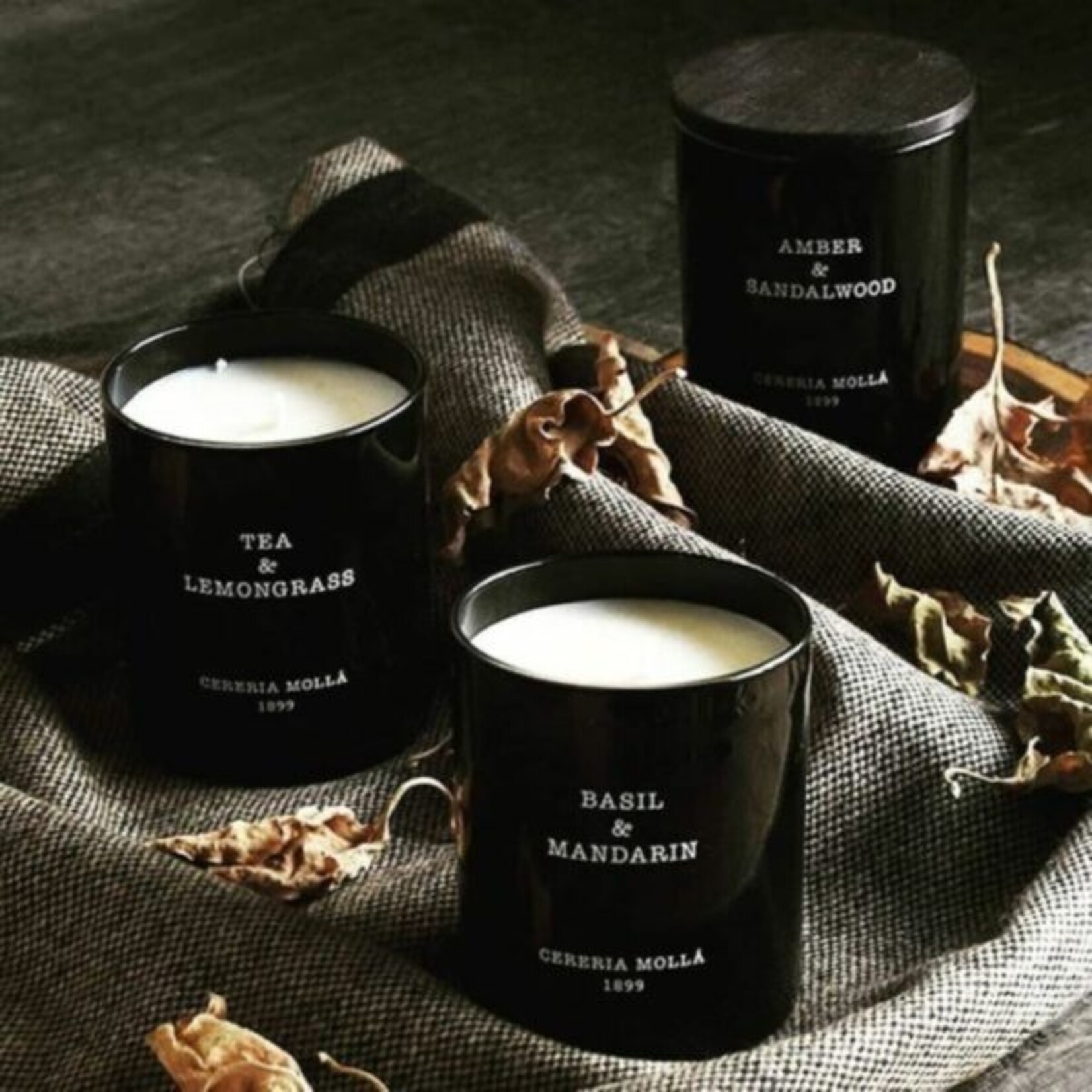 Tea & Lemongrass  Candle - Basik Spaces