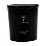 Cereria Molla Fig & Citrus | Candle