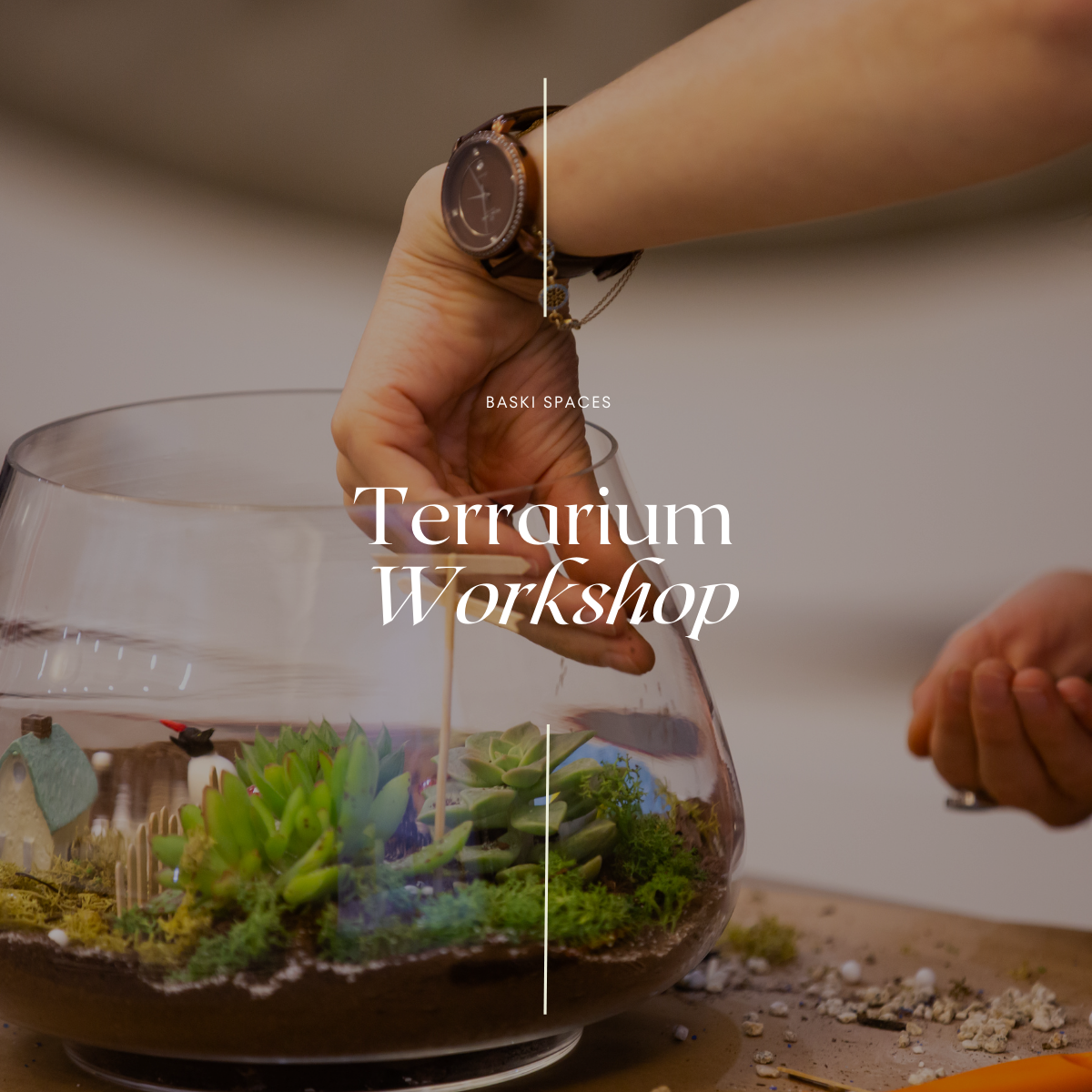 How to Create a Terrarium  Barclay Square at Princeton