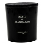 Cereria Molla Basil & Mandarin - 21 OZ Candle