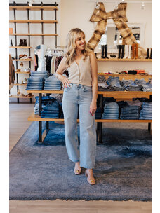 AGOLDE LOW CURVE JEAN