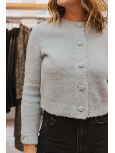 ALC LAINIE CARDIGAN