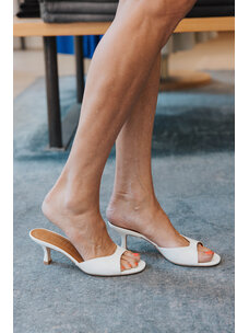 STAUD BRIGITTE MULE