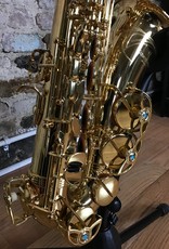 Yanagisawa Yanagisawa Yani AW01 Professional Alto Saxophone