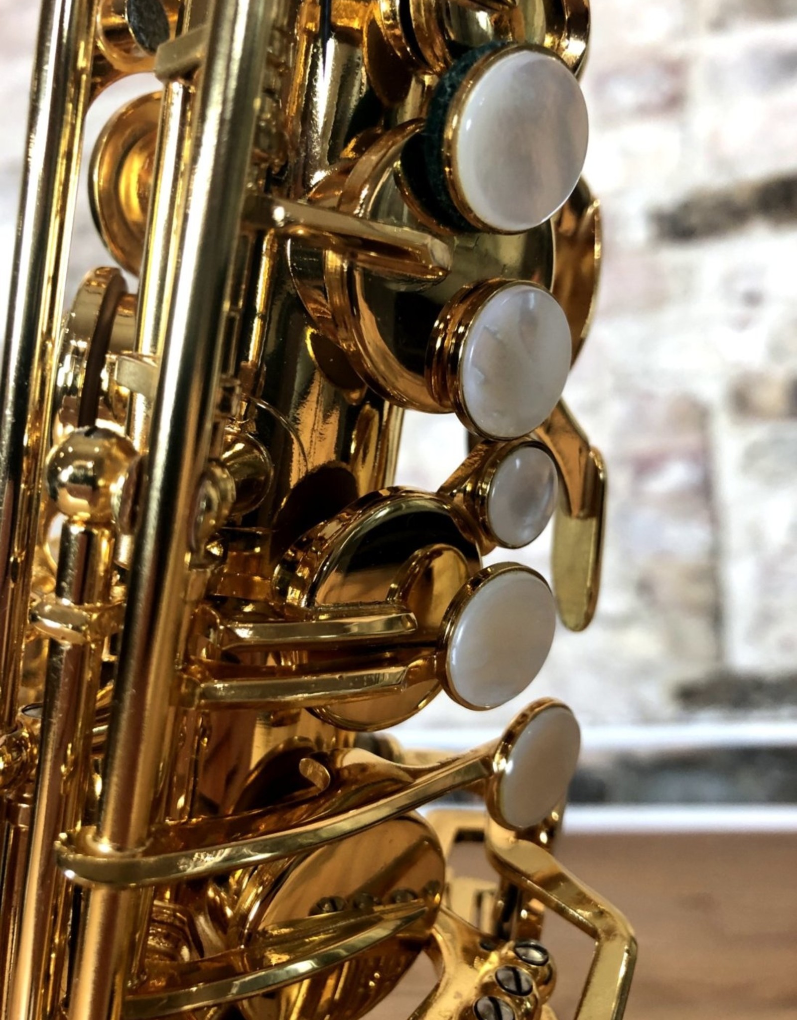 New York Signature New York Signature Series 18k Gold Plated Alto Saxophone