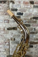Yanagisawa Yanagisawa Yani Bronze Alto Saxophone AW020