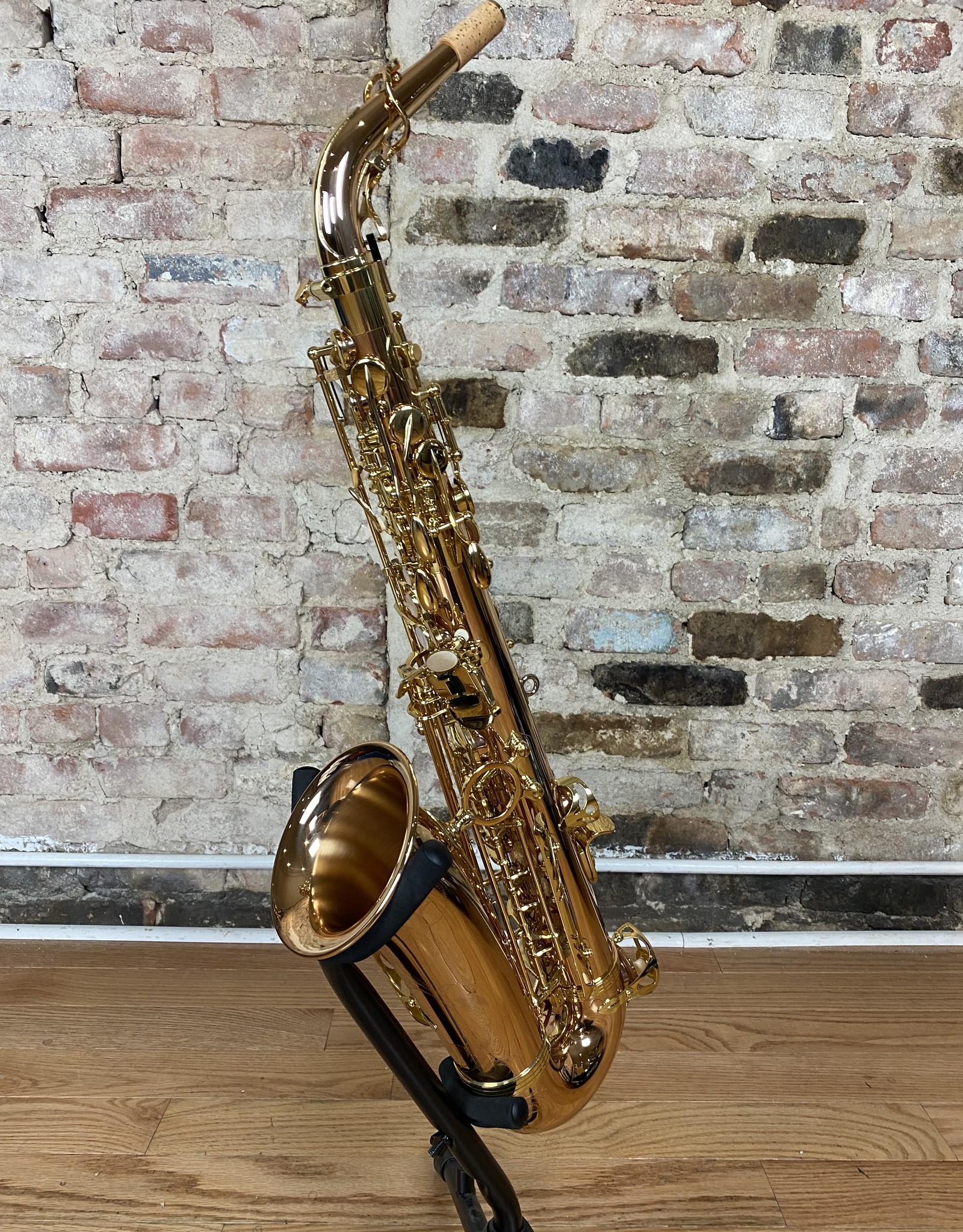 Yanagisawa Yanagisawa Bronze Alto Saxophone AW020