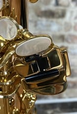 Yanagisawa Yanagisawa AWO20 Bronze Elite Professional Alto Saxophone NEW from Japan!