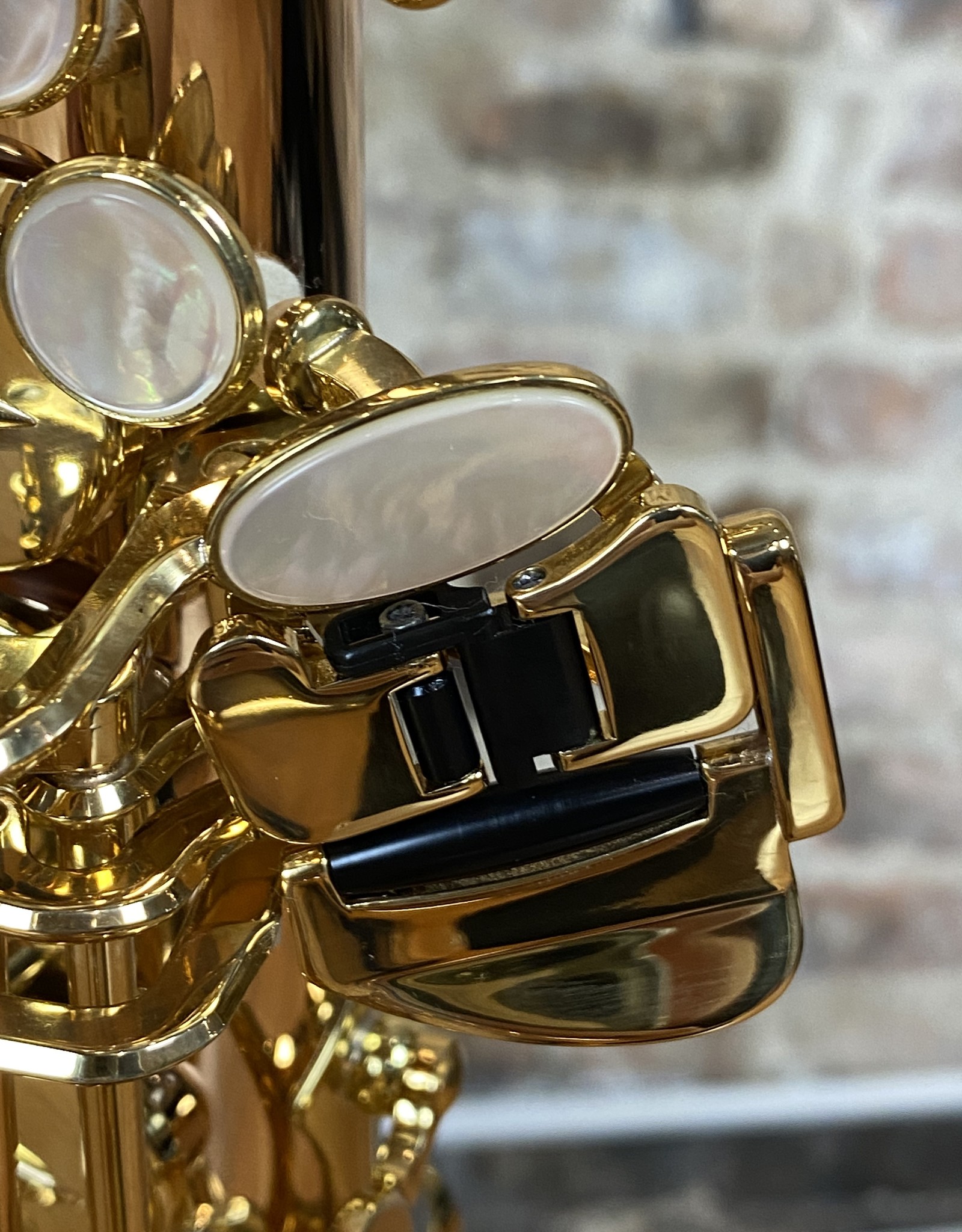 Yanagisawa Bronze Alto Saxophone AW020 - JL Woodwind Repair Yanagisawa Bronze Alto Saxophone AW020 - JL Woodwind Repair