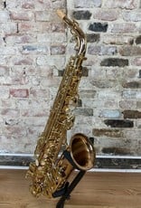 Yanagisawa Yanagisawa Yani Bronze Alto Saxophone AW020