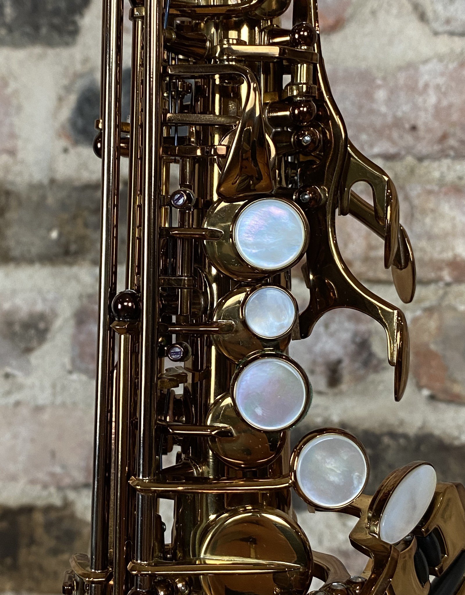 JL Woodwinds Artist Edition New York Signature Soprano Saxophone Cognac Lacquered