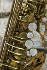 Trevor James Trevor James Signature Custom XS Alto Saxophone Pre Owned