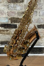 Yanagisawa Yanagisawa Yani AW02 Bronze Body Professional Alto Saxophone NEW!