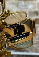 Yanagisawa Yanagisawa AWO10 Elite Professional Alto Saxophone Lacquered Finish NEW from Japan!