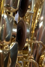 Yanagisawa Yanagisawa AWO10 Elite Professional Alto Saxophone Lacquered Finish NEW from Japan!