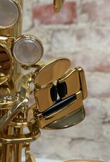 Yanagisawa Yanagisawa AWO1 Professional Alto Saxophone Lacquered Finish NEW from Japan!