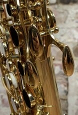Yanagisawa Yanagisawa AWO1 Professional Alto Saxophone Lacquered Finish NEW from Japan!