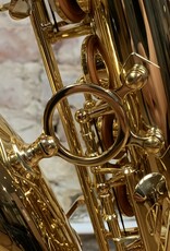 Yanagisawa Yanagisawa AWO1 Professional Alto Saxophone Lacquered Finish NEW from Japan!