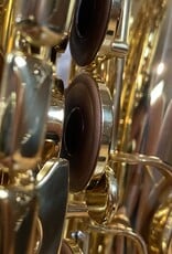 Yanagisawa Yanagisawa AWO10 Elite Professional Alto Saxophone Lacquered Finish from Japan!