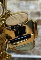 Yanagisawa Yanagisawa AWO10 Elite Professional Alto Saxophone Lacquered Finish from Japan!